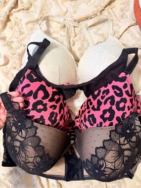 Torrid bras